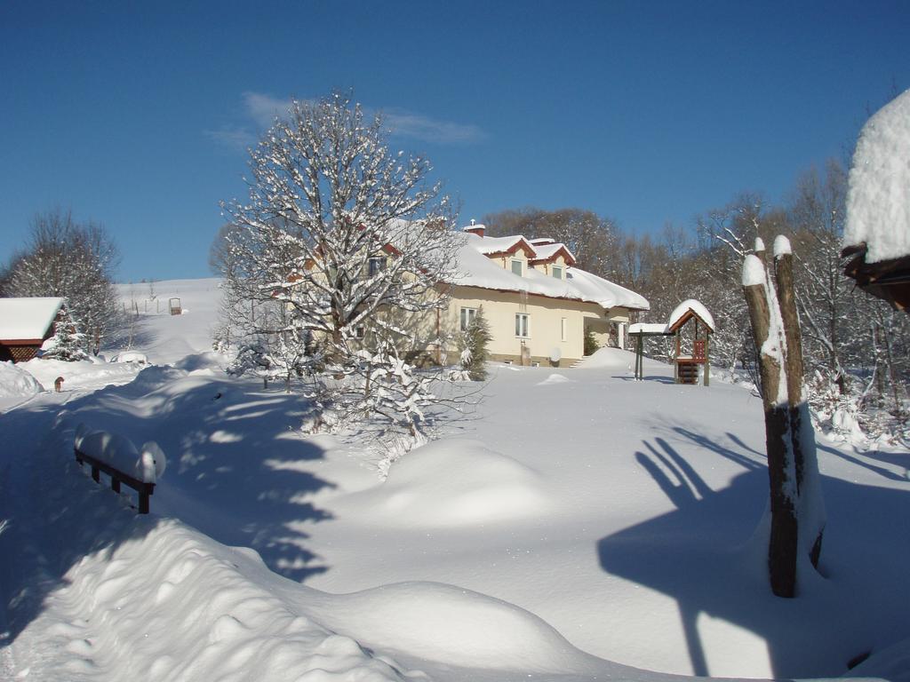 Villa U Eskulapa Lutowiska Exterior foto